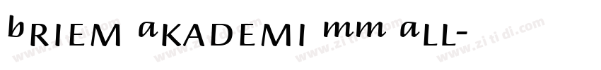 Briem Akademi MM All字体转换